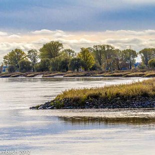 Elbe mit Uferlandschaft