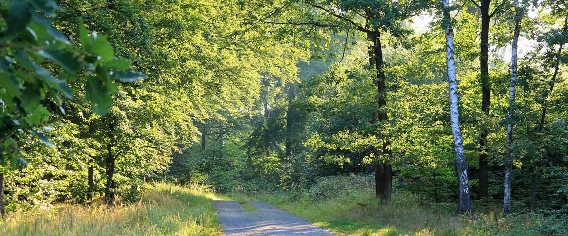 Wanderweg Heidekammweg