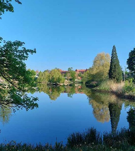 Schwanenteich in Wittenberg mit Bäumen und blauem Himmel