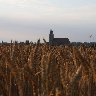 Kirche in Jüterbog