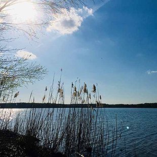 Sonnenschein am Bergwitzsee