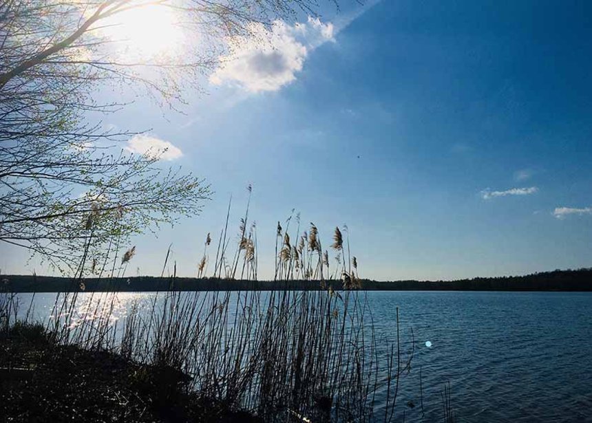 Sonnenschein am Bergwitzsee
