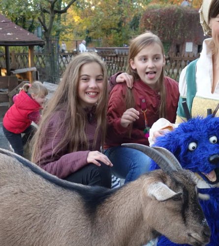 Ferienpass Wittenberg Kinder mit Tieren
