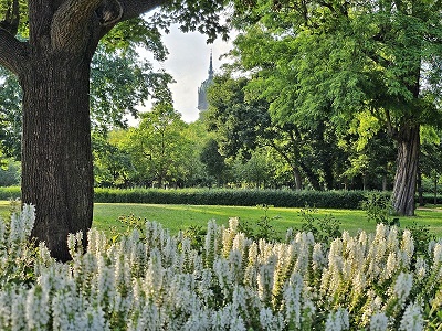 Blühende Blumen im Stadtpark der Lutherstadt Wittenberg mit Blick auf die Schlosskirche